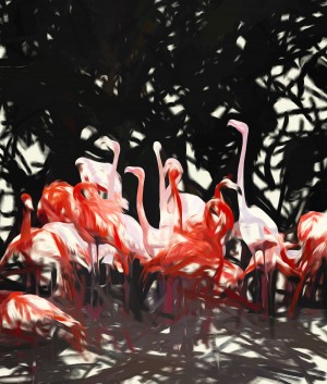 Flamingoes Under The Banyan Tree